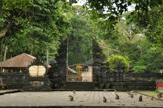 Royal Family Temple, Monkey Forest, and Tanah Lot Sunset Tour - Stop 3: Tanah Lot Temple and a sunset that changes the whole vibe
