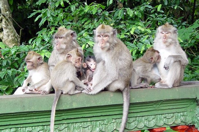 Royal Family Temple, Monkey Forest, and Tanah Lot Sunset Tour - Timing and pacing: why the schedule feels manageable