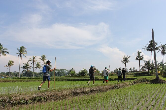 Rural Charm of Bali Tour - Hitting the Ubud Interior Instead of the Usual Stops