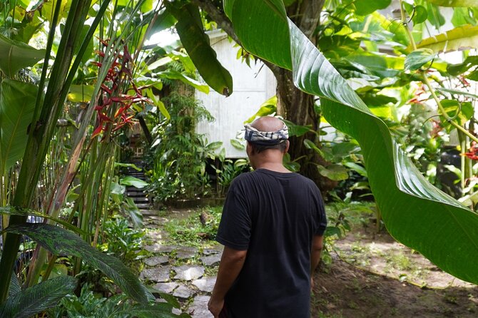 Rural Charm of Bali Tour - Gulingan Village and the Rice-Field Routine