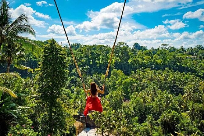 Sacred Spring Experience - Ubud Tour - Tegalalang Rice Terrace: SUBAK Irrigation and 600m-High Views