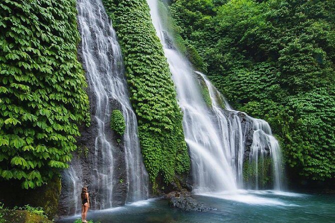 Shore Excursion Cruise Ship From Celukan Bawang Port - Munduk Waterfall in the Highlands: Coffee and Clove Country