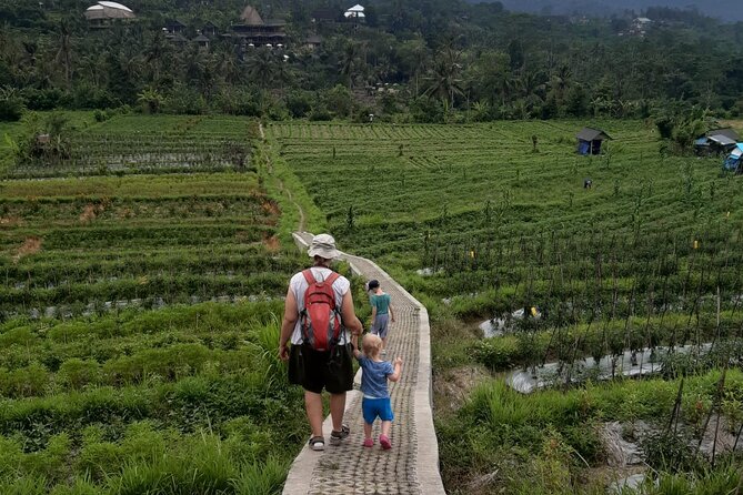 Sidemen Trekking Through Rice Terraces and Villages - Key highlights at a glance