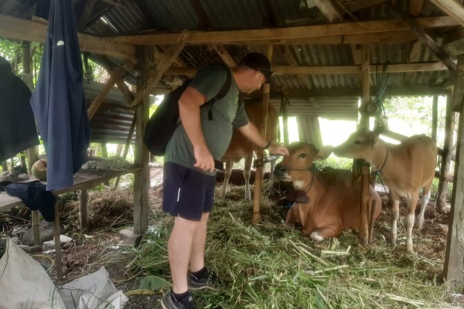 Sidemen Trekking Through Rice Terraces and Villages - Mount Agung viewpoints and the wooden bridge moment