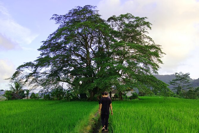 Sidemen Trekking with Cultural Encounters and Nature Views - Key highlights worth your attention
