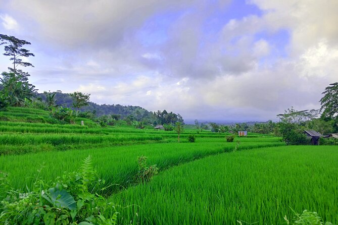 Sidemen Trekking with Cultural Encounters and Nature Views - Stop 1: Pura Dalem Desa Adat Dukuh Sakti and temple etiquette
