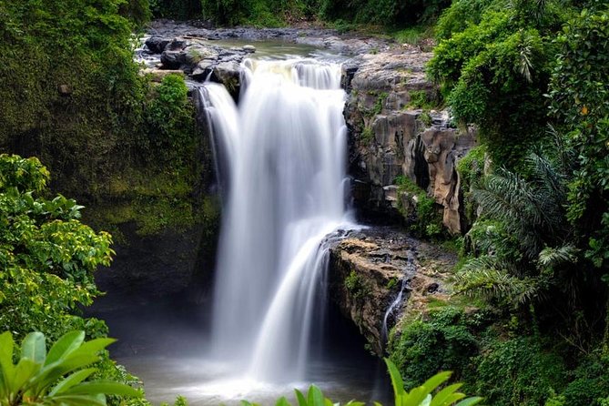 Skip-the-Line: Ubud Tour - All Inclusive Tickets - Sacred Monkey Forest Sanctuary: fun with real rules