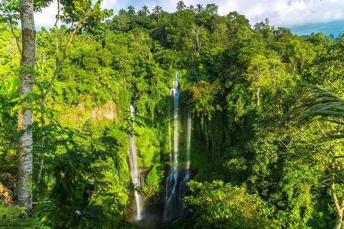 Small-Group Sekumpul Waterfall Jungle Trek with Lunch - Breakfast and group setup: getting bearings fast