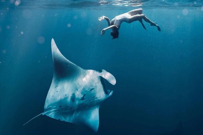 Snorkeling 4 Spots, Manta Rays, Tembeling Pool & Kelingking Beach - Early Ubud Morning: Getting to Nusa Penida Without Chaos
