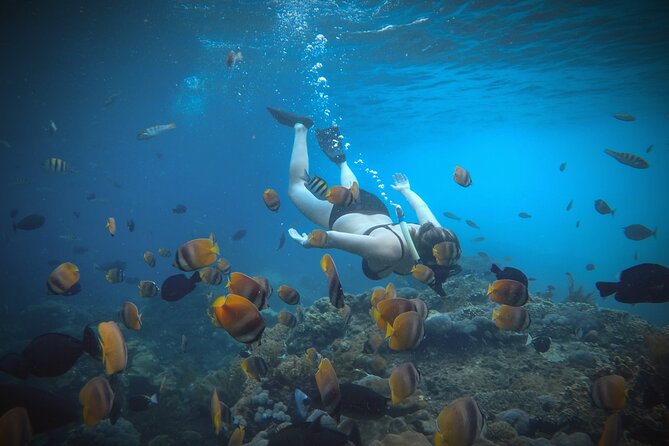 Snorkeling 4 Spots, Manta Rays, Tembeling Pool & Kelingking Beach - Who This Trip Fits Best