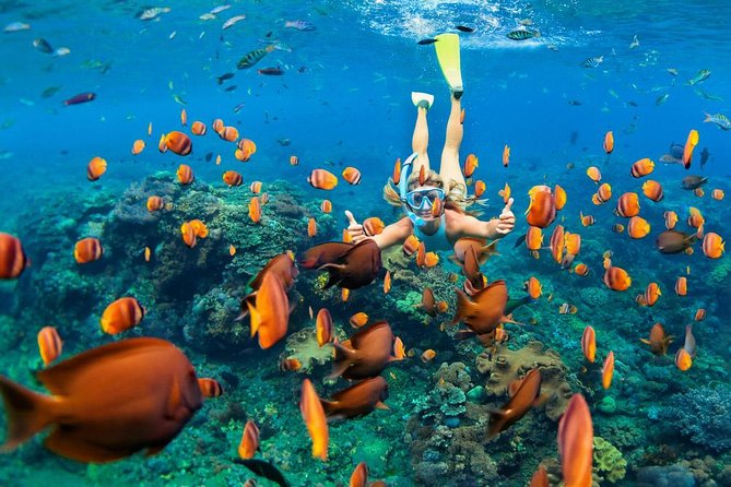 Snorkeling at Blue Lagoon Bali with Lunch and Transport - Key things I’d clock before you go