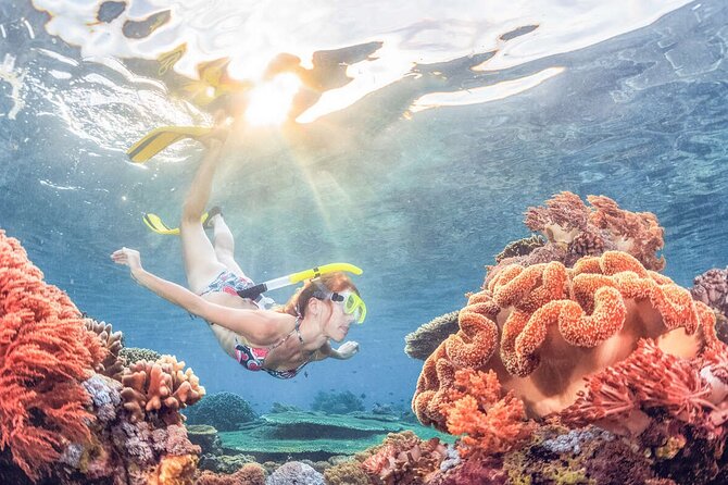 Snorkeling at Blue Lagoon Bali with Lunch and Transport - Blue Lagoon at Padangbai: why the east-coast trip is worth it