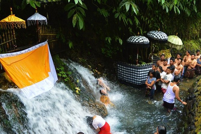 Spiritual Purification and Local Healer Visit Tour (ALL INCLUDED) - The Local Healer Visit in Ubud: Energy Reading and Aura Cleansing