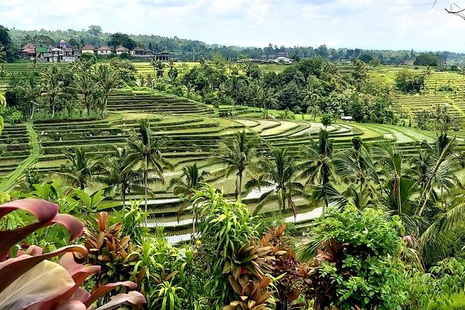 Tanah Lot and Jatiluwih Unesco Rice Terrace Private Tour - Road time and pace: what 8–10 hours feels like