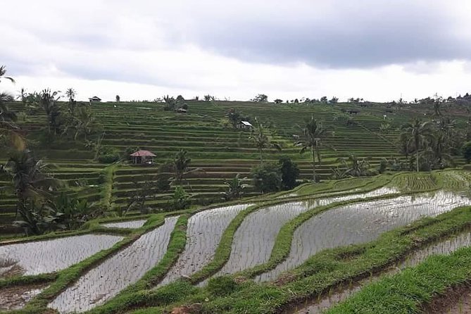 Tanah Lot and North Bali Private Tour - All inclusive - Leke Leke Waterfall: Lush Green Views Without Overbooking Your Day