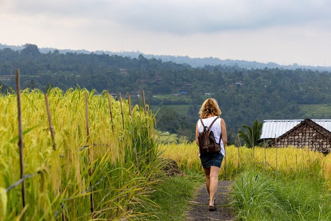 Tanah Lot, Jatiluwih Rice Terrace and Waterfall Day Tour - Banyumala Twin Waterfalls: a calm break from temple stops