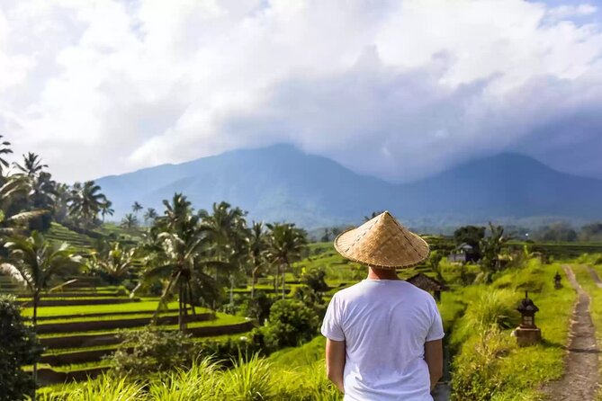 Tanah Lot, Jatiluwih Rice Terrace and Waterfall Day Tour - Price and logistics: what $90.54 per group really buys