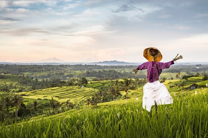Tanah Lot, Jatiluwih Rice Terrace and Waterfall Day Tour - Timing tips so the 4-hour drive doesn’t steal your day