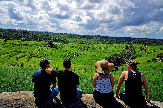 Tanah Lot - Jatiluwih (UNESCO) - Bedugul and Ulun Danu Temple Tour - Price and the Real Cost of Entrance Tickets