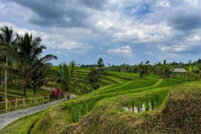 Tanah Lot - Ulun Danu Beratan Temple - Scenic Countryside Tour - Stop 1: Ulun Danu Beratan Temple on the lake