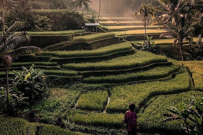 The Gates of Heavan - Ubud Jungle Swing & Waterfall Tour - Your Guide Makes or Breaks the Day