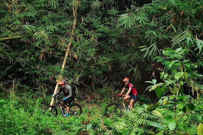 The Volcano Trail – Epic Volcano Cycling Adventure - Quick hits on the Volcano Trail ride