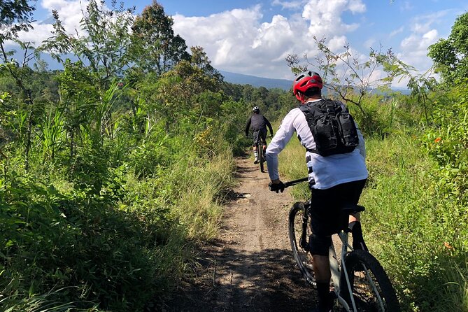 The Volcano Trail – Epic Volcano Cycling Adventure - Rice paddies and villages: the XC section that keeps it real