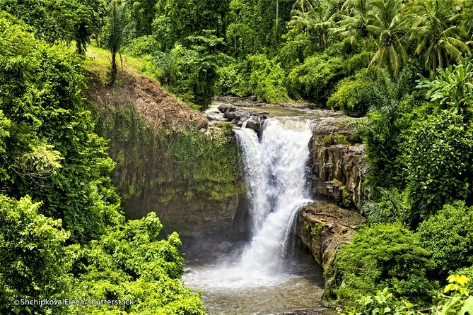 Three Main spot Bali Waterfall with Swing - Price and Value: What $46 Really Buys