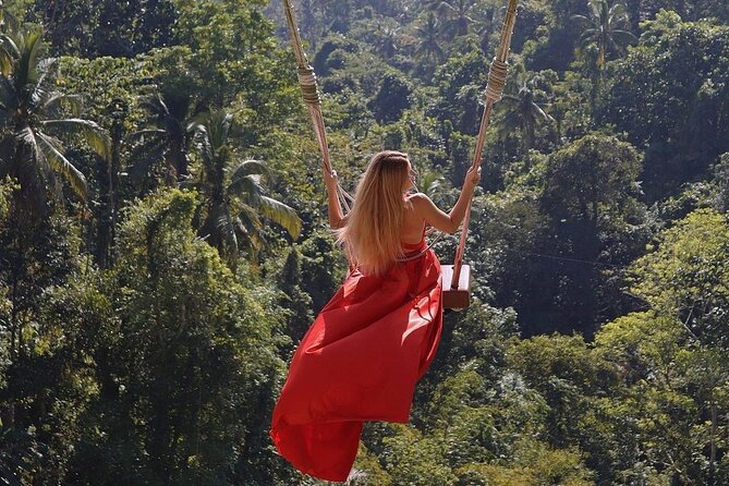 Tirta Empul temple, Jungle Swing and Waterfalls - Private Tour - A practical private loop through Ubud’s biggest “yes” moments