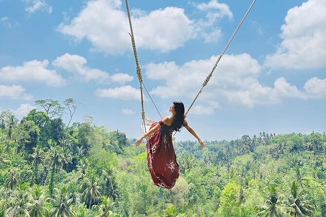 Tirta Empul temple, Jungle Swing and Waterfalls - Private Tour - Tirta Empul Temple: where the water ritual can be personal