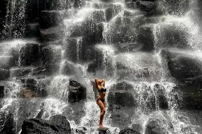 Tirta Empul temple, Jungle Swing and Waterfalls - Private Tour - Price and value: what $24.65 really buys you