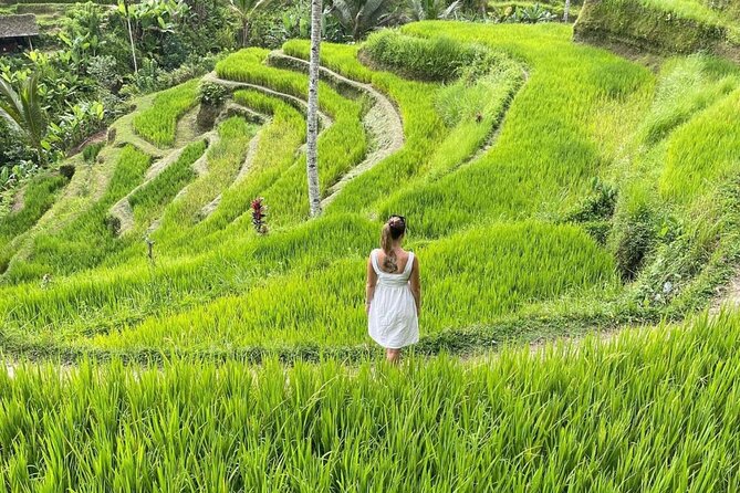Tirta Empul temple, Jungle Swing and Waterfalls - Private Tour - Happy Swing Bali: the extra-cost moment most people plan for