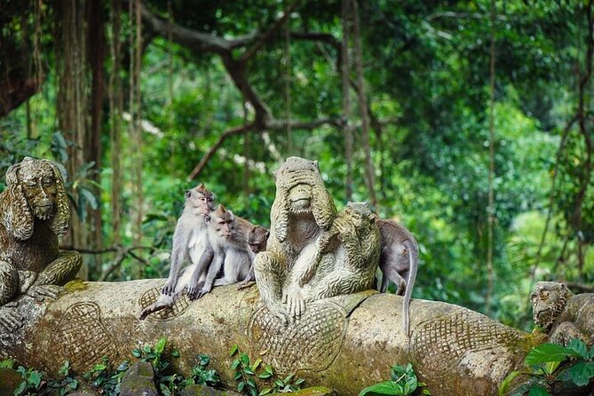 Top Ubud Attractions: Private Full-Day Guided Tour - Mas Carving Center: watching teak and mahogany skill