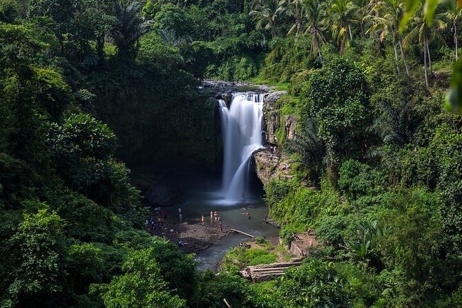 Top Ubud Attractions: Private Full-Day Guided Tour - Tegalalang Rice Terrace walks and photo stops