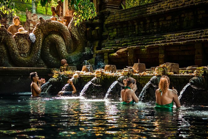 Top Ubud Attractions: Private Full-Day Guided Tour - Tirta Empul Temple and purification rituals