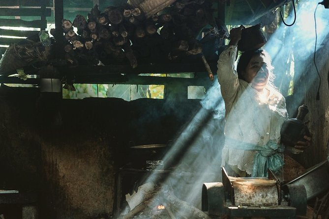 Trekking and Sightseeing tour with lunch - Starting in Ubud: Pickup, a Private-Group Flow, and Timing