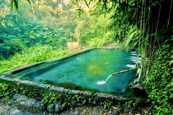 Trekking and Sightseeing tour with lunch - Tirta Empul Temple: Holy Water Purification Without the Pressure