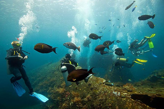 Tulamben Diving Tour Shipwreck USS Bali - The 8-hour day plan: pickup, orientation, and lunch timing