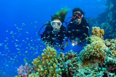 Tulamben Diving Tour Shipwreck USS Bali - What’s included: equipment, safety gear, and real comfort extras