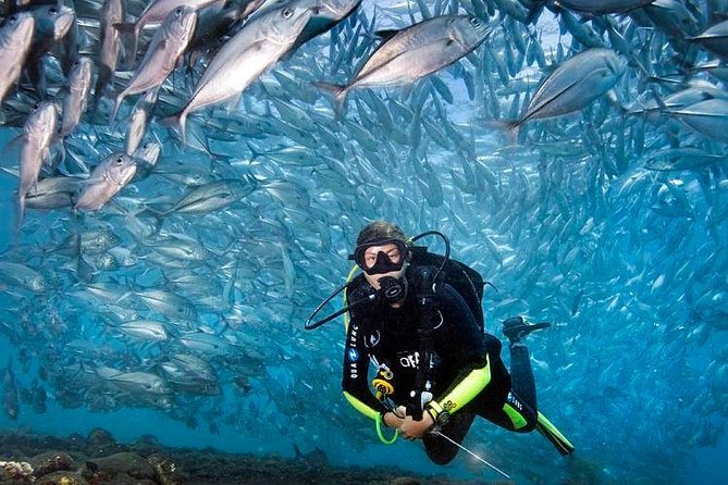 Tulamben Diving Tour Shipwreck USS Bali - Small group size and instructor support that help you feel safe