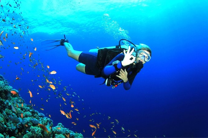 Tulamben Diving Tour Shipwreck USS Bali - Price and value: is $102.57 really fair for this kind of day?