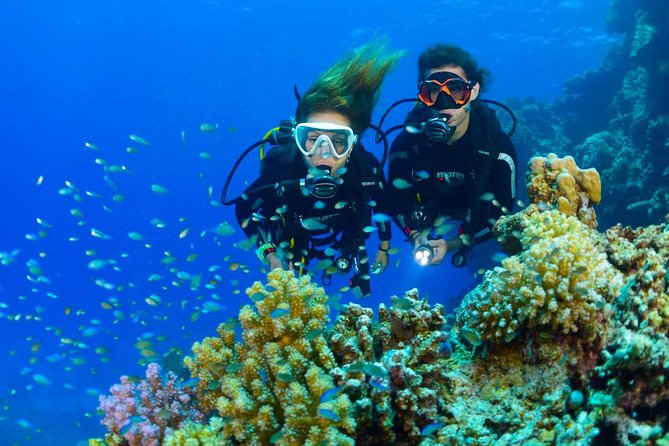 Tulamben Diving Tour Shipwreck USS Bali - What’s included: equipment, safety gear, and real comfort extras