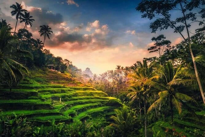 Ubud 1 Day Tour (Private & All-Inclusive) - Stop 5: Tegalalang Rice Terrace for classic Bali photo power