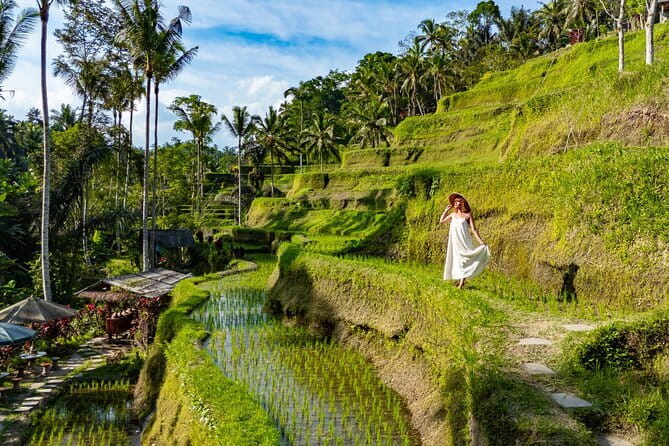 Ubud All-Inclusive Tour with Swing and Lunch - Key things you’ll remember about this Ubud all-in-one day