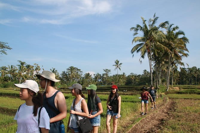 Ubud All-Inclusive Tour with Swing and Lunch - Tegenungan Waterfall: classic jungle views and big photo energy