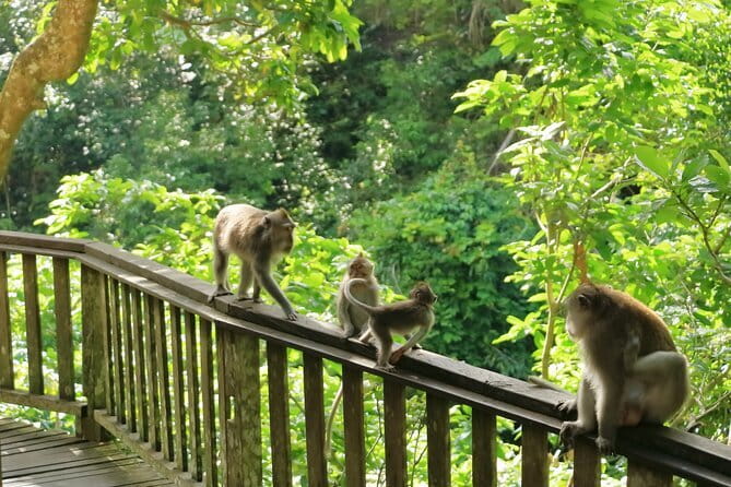 Ubud All-Inclusive Tour with Swing and Lunch - Lunch at D Alas Warung: Balinese comfort food in a craft-village setting