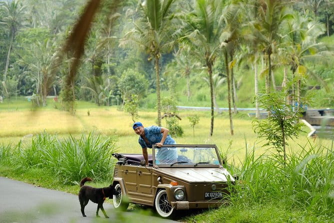 Ubud All-Inclusive Tour with Swing and Lunch - Ubud Jungle Swing: the rice-field viewpoint photo moment