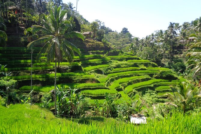 Ubud ATV ride Adventure and water rafting - Price and Value: Is $32 a Good Deal?