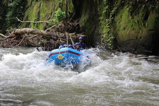 Ubud Ayung Water Rafting included Lunch and Transfer - Buffet Lunch After the Rapids: Food, Timing, and Showers
