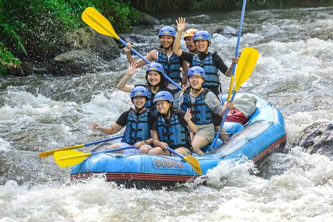 Ubud Ayung Water Rafting included Lunch and Transfer - Photos, Extras, and What to Plan for